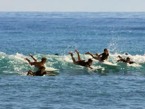 Surfers paddling into a wave
