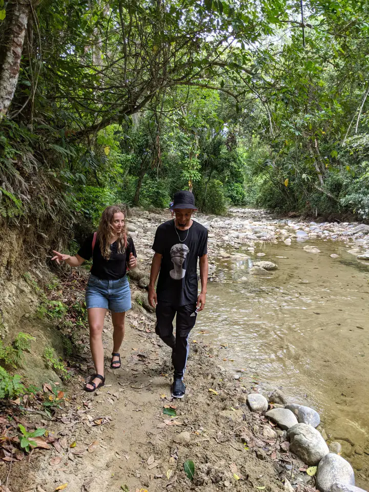 Waterfall Hike