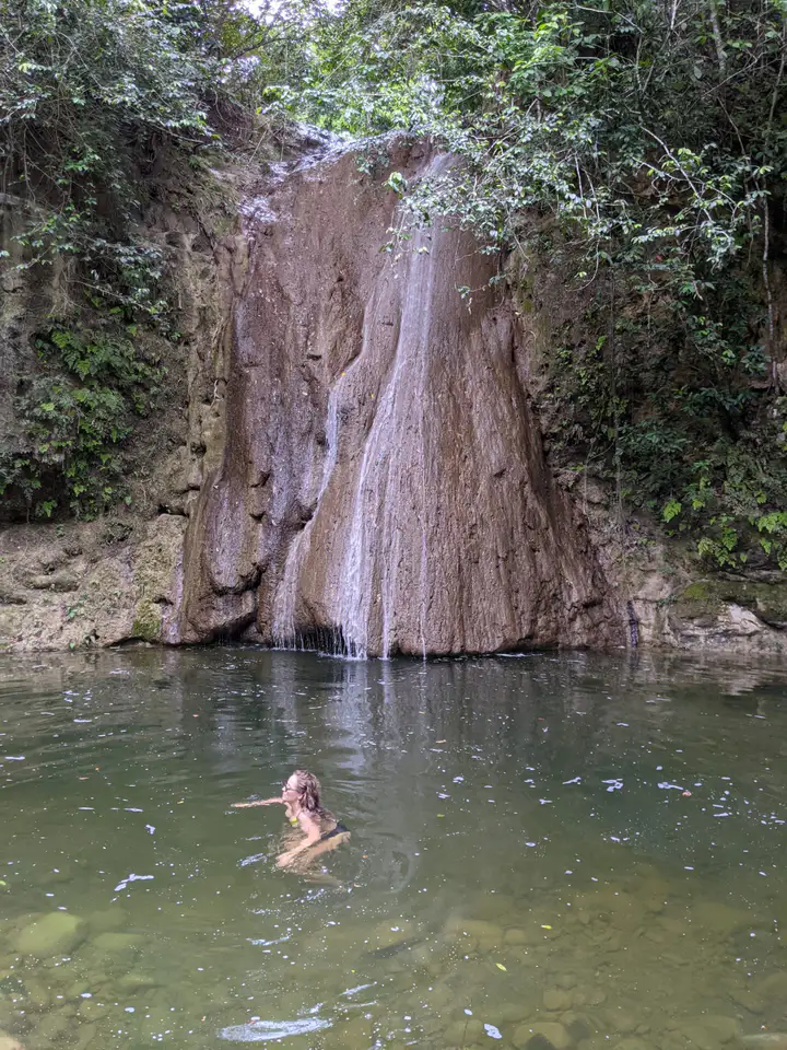 Guided excursions