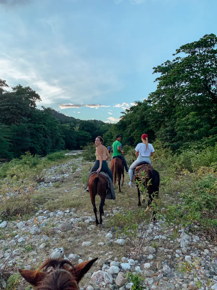 Horseback riding (nearby)