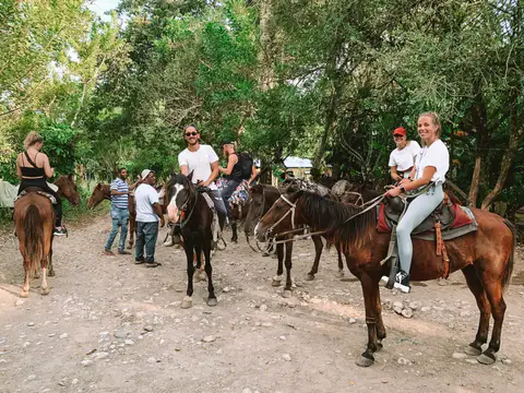 Guests riding horses along a forest trail