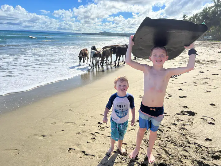 Two boys with a bodyboard on the beach, cows walking along the shore behind them