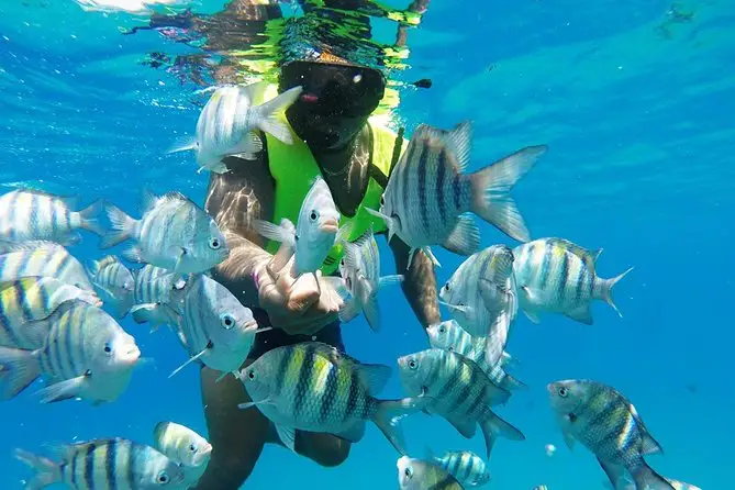 Snorkeling and Scuba Diving