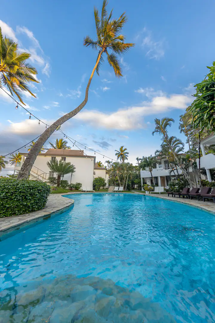 Oceanfront pool with palms and loungers